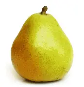poire-anjou